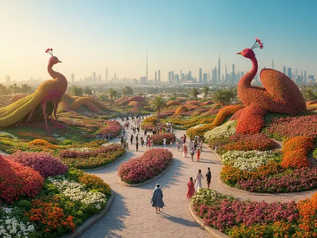 Dubai Miracle Garden: Unveiling the World's Largest Flower Garden