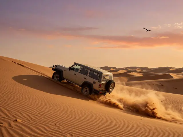 The Magic of Desert Safaris: From Dreams to Reality